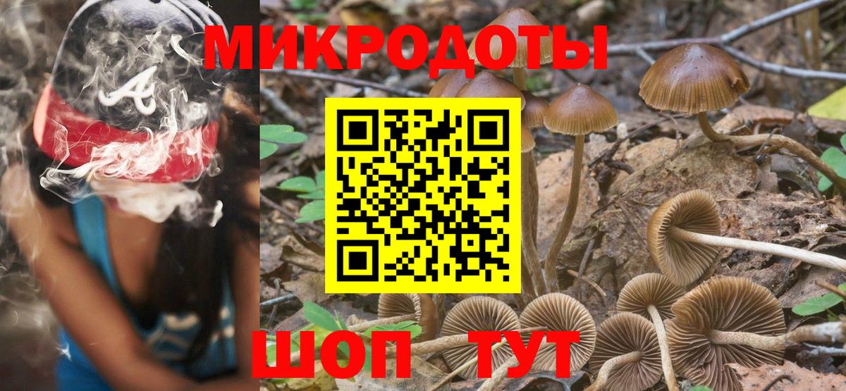 Галлюциногенные грибы Magic Shrooms Тельмана
